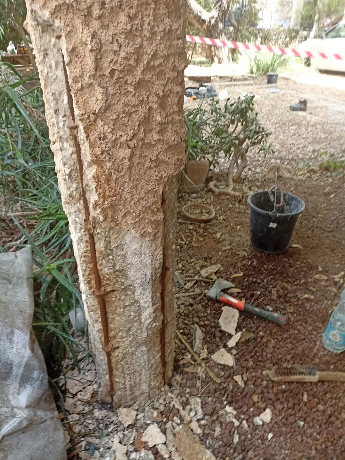בניין מגורים — אברהם קרן 11, כפר סבא — תמונה 2 מתוך 3